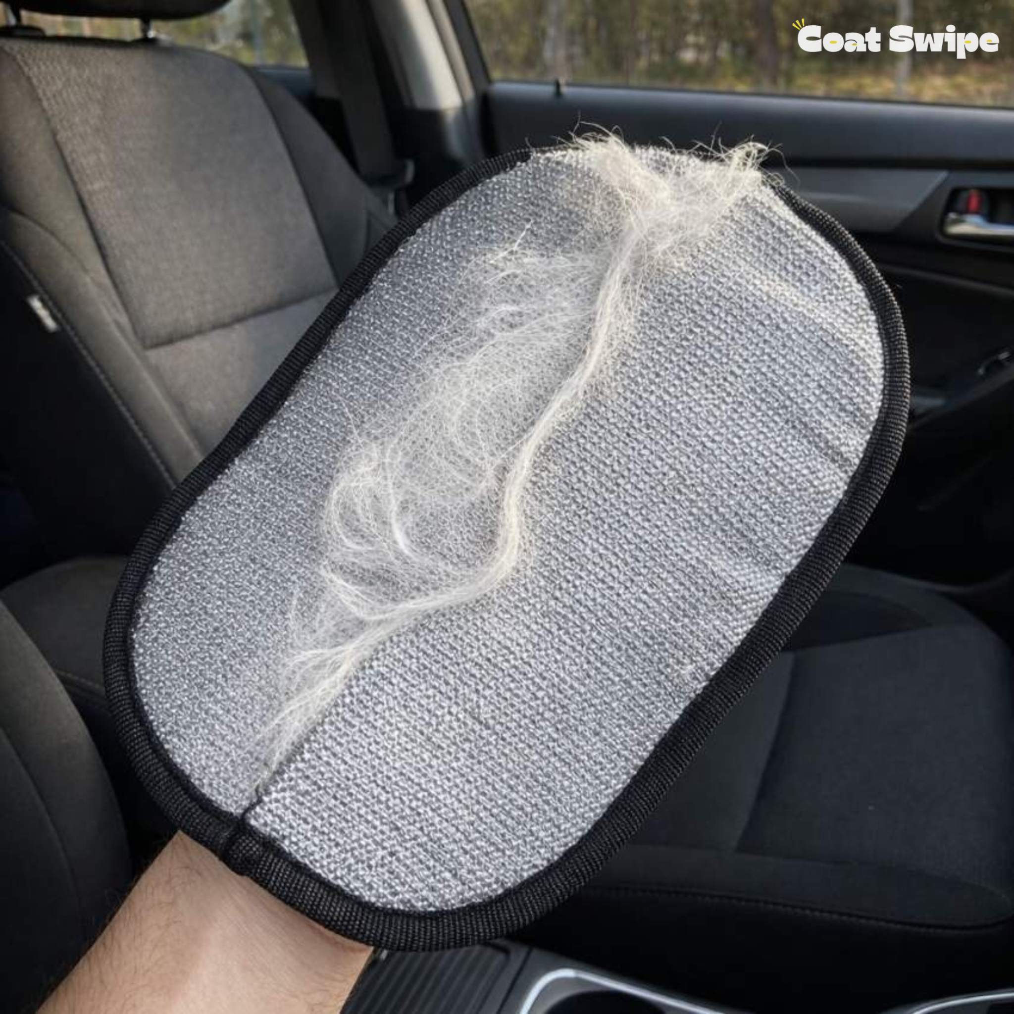 Coat Swipe - Pet Fur Remover