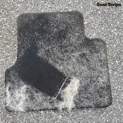 Coat Swipe - Pet Fur Remover